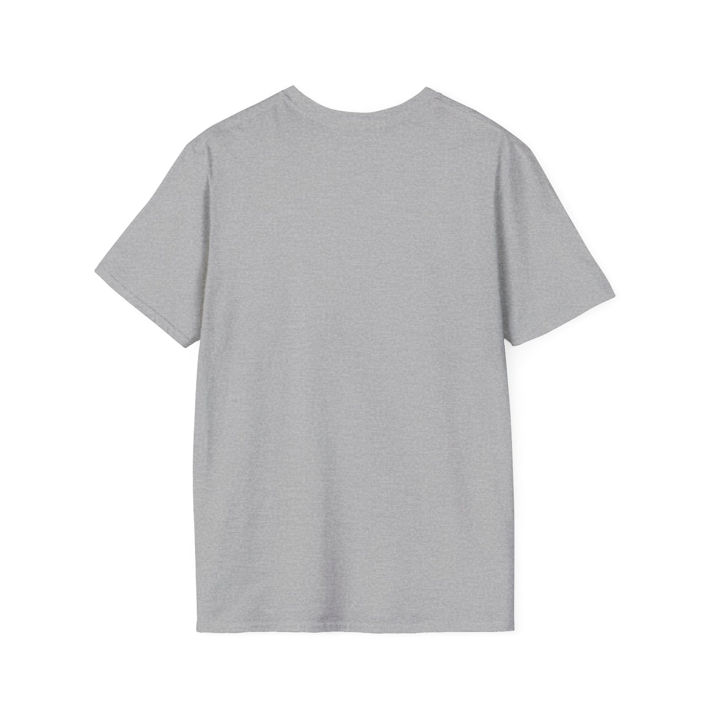 T-Shirt — "Tis the Season" Fall Pumpkin Football Graphic Tee